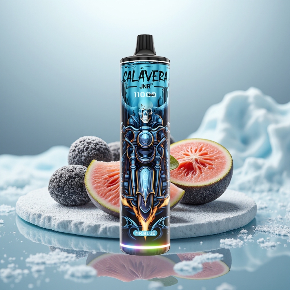 JNR Calavera 11000 Puffs Azul Mr Porta Tipo-C 850mAh 21ml JNR Calavera 11000 Puffs Azul Mr Porta Tipo-C 850mAh 21ml