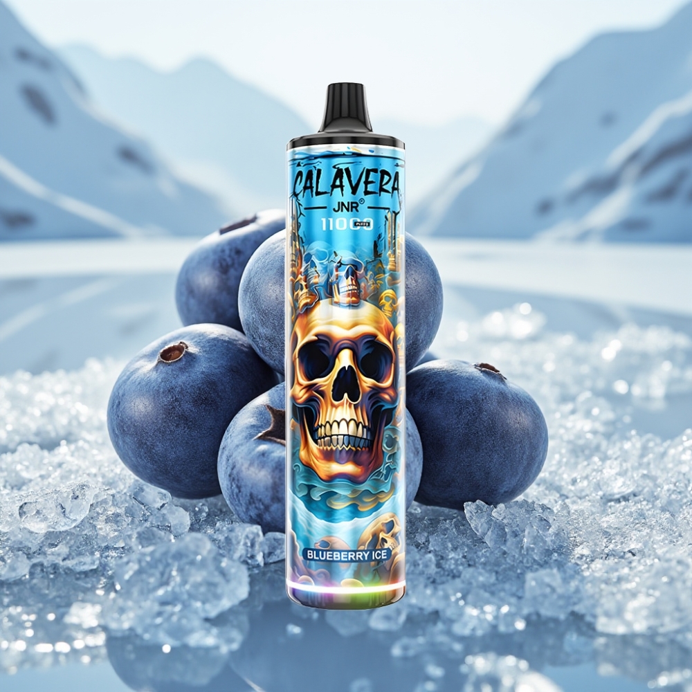 JNR Calavera 11000 Puffs Disposable Vape Mirtilo Gelado Tipo-C 850mAh JNR Calavera 11000 Puffs Disposable Vape Mirtilo Gelado Tipo-C 850mAh