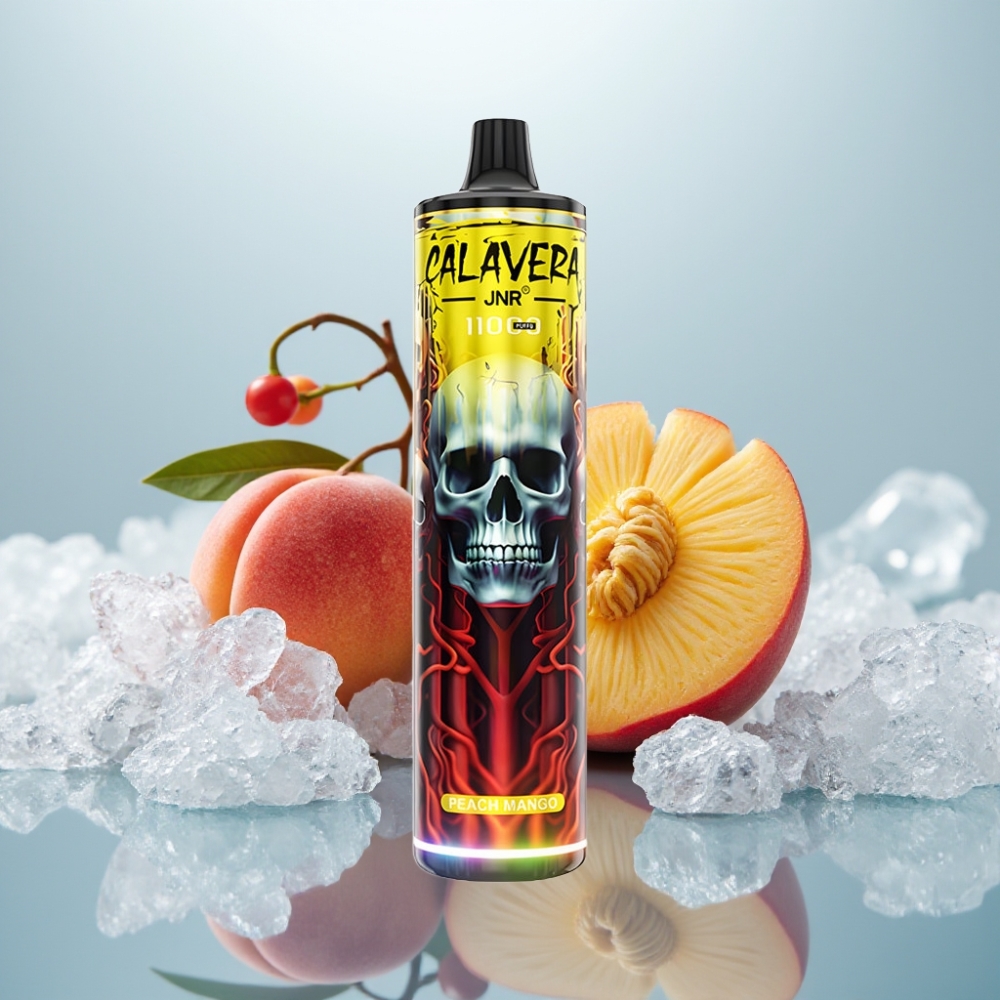 JNR Calavera 11000 Puffs Pêssego Manga Recarregável USB-C 850mAh
