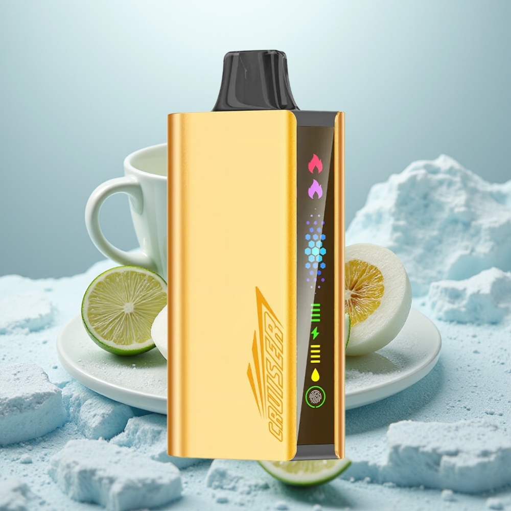 JNR Cruiser 12000 Puffs Menta Refrescante Vape Descartável Sem Recarga Tela Animação JNR Cruiser 12000 Puffs Menta Refrescante Vape Descartável Sem Recarga Tela Animação