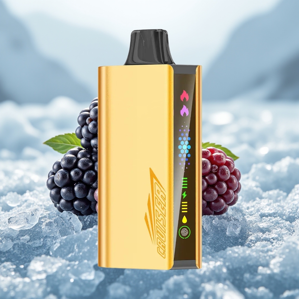 JNR Cruiser 12000 Puffs Mirtilo Gelo Vape Descartável Sem Carga Bateria 3500mAh JNR Cruiser 12000 Puffs Mirtilo Gelo Vape Descartável Sem Carga Bateria 3500mAh