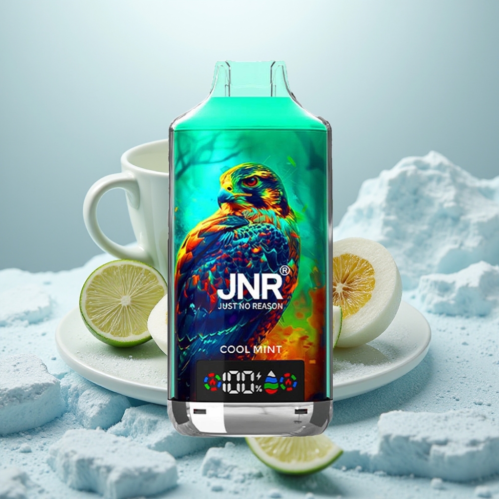 JNR Falcon X 18000 Puffs Disposable Vape Menta Fresca Display Digital Carregamento Type-C JNR Falcon X 18000 Puffs Disposable Vape Menta Fresca Display Digital Carregamento Type-C