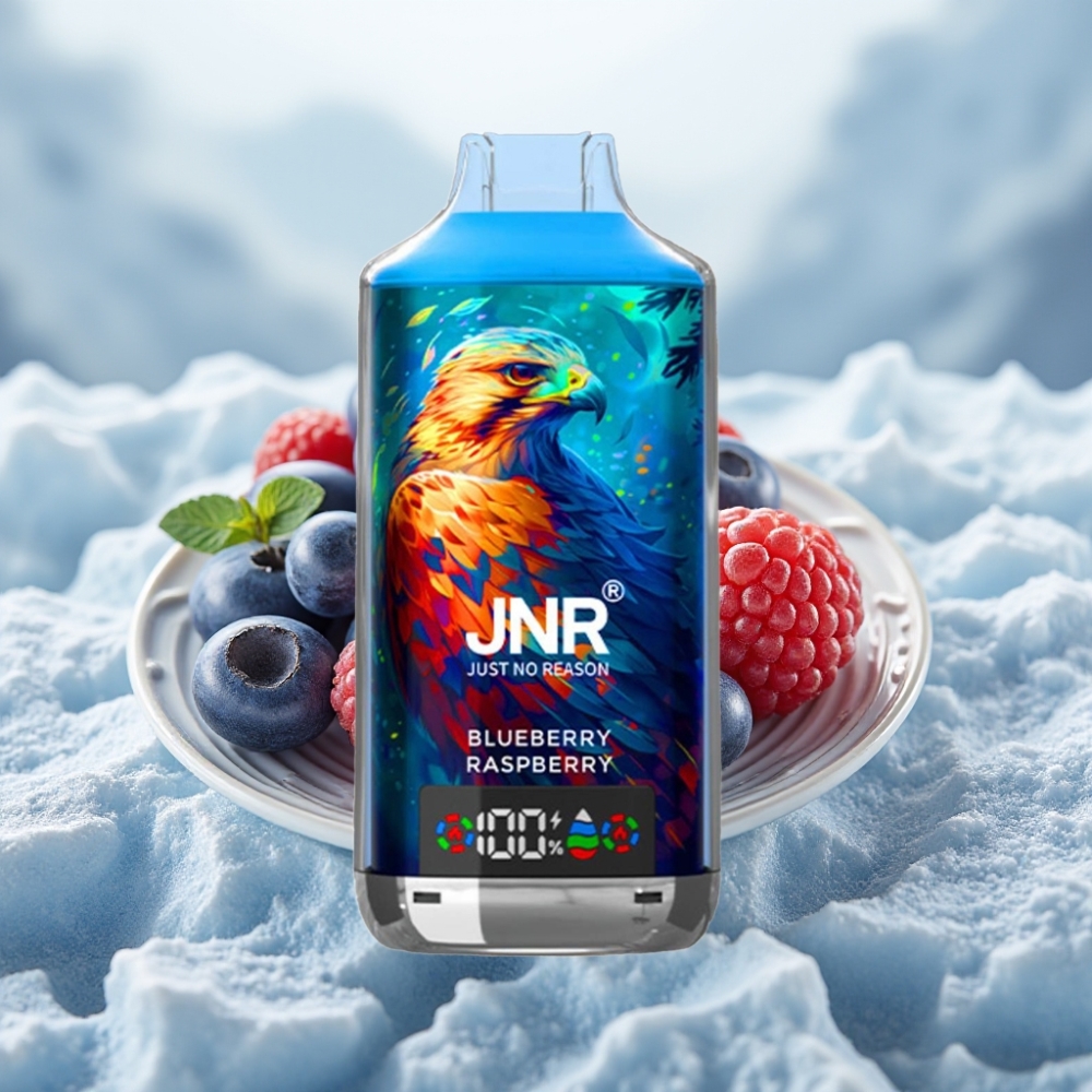 JNR Falcon X 18000 Puffs Disposable Vape Mirtilo Framboesa Bateria 750mAh