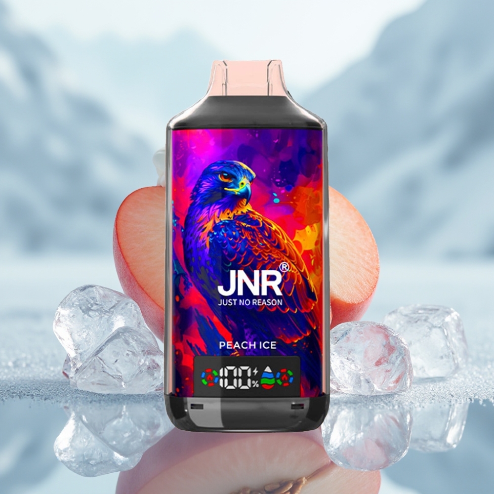 JNR Falcon X 18000 Puffs Pêssego Gelado Dual Mesh Coil 24ml