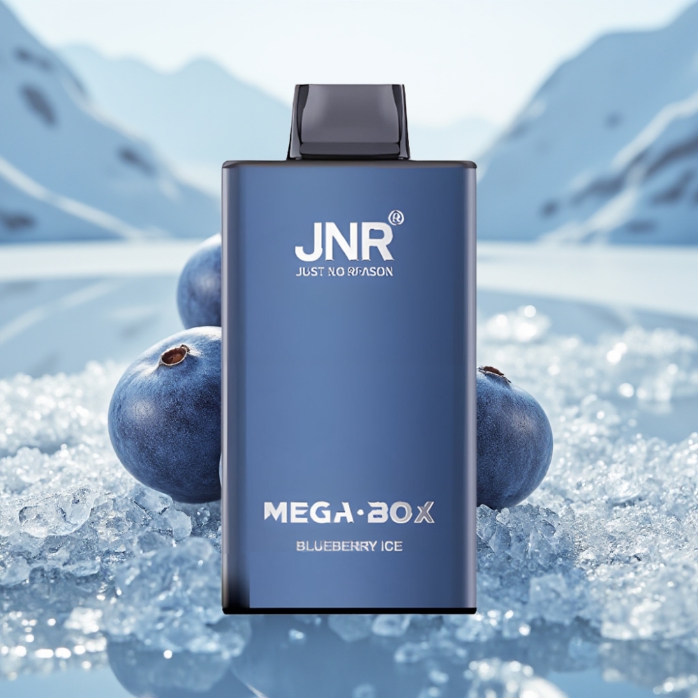 JNR Mega Box 25000 Puffs Disposable Vape Mirtilo Gelo Capacidade 30ml