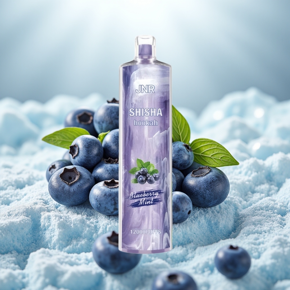 JNR Shisha Hookah 12000 Puffs Menta com Mirtilo 750mAh Type-C JNR Shisha Hookah 12000 Puffs Menta com Mirtilo 750mAh Type-C