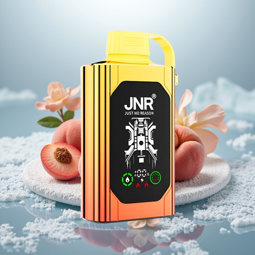 JNR Shisha Hookah Box 20500 Puffs Pêssegos Suculentos Display HD Bateria 1000mAh